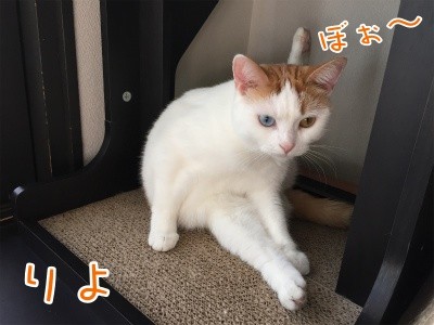 りよ136