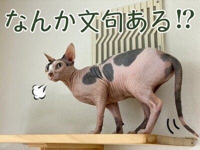 じゅり32