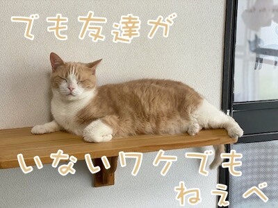 楓226