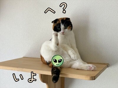 いよ575