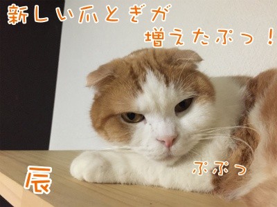 辰20