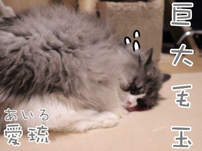 るひあ164