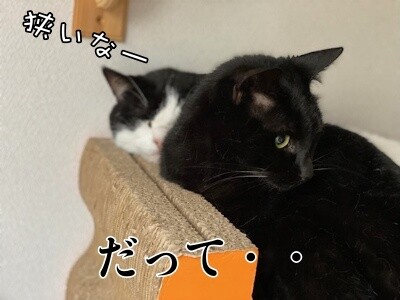みんな2687
