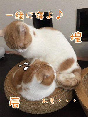 みんな258
