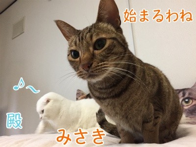 みんな670