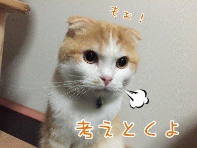 珠23