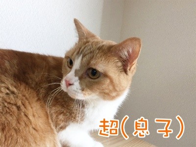 超5
