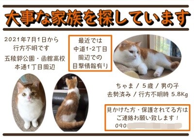 茶牛215