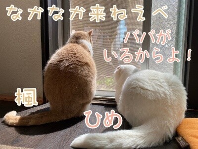 みんな2573