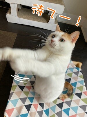 りよ103