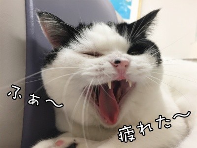 珠若477