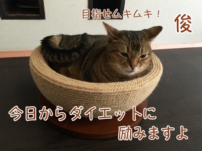 俊55