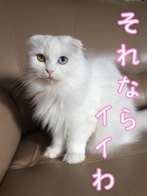 もえ28