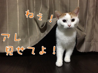 りよ27