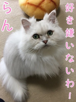 らん124