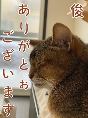 俊553