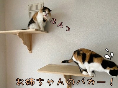 みんな2494