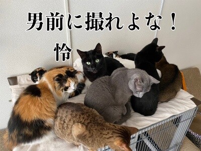 みんな2447