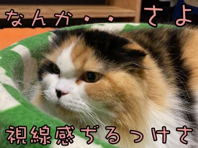 さよ90