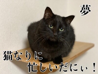 夢154
