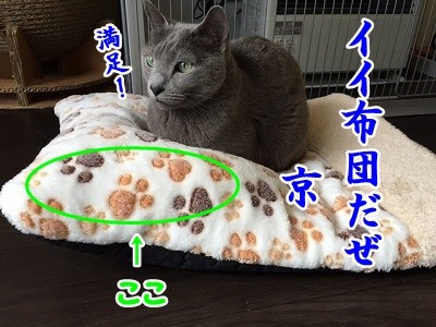 京 (22)