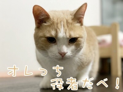 楓682