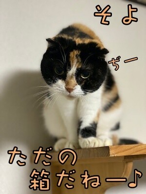 そよ279