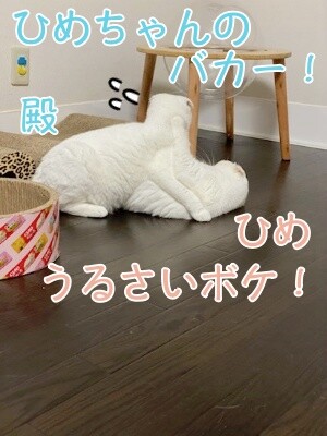 みんな2716