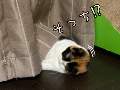 いよ447