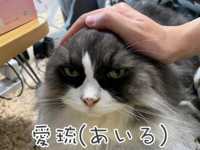 るひあ97