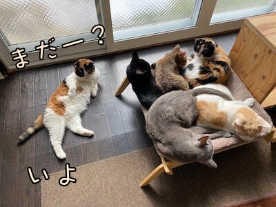 みんな1302