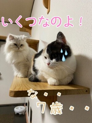 みんな2007
