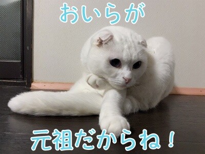 殿775