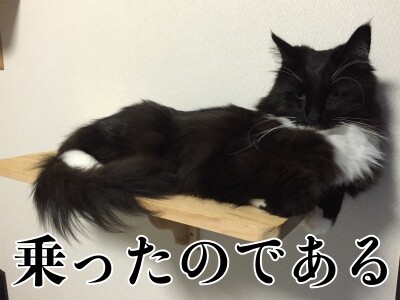 勇125