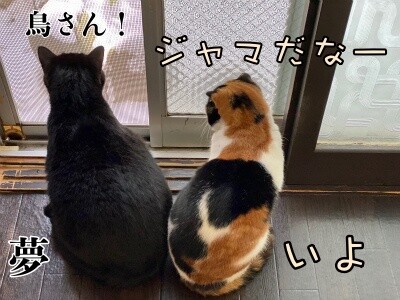 みんな2310