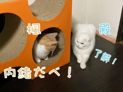 みんな2693