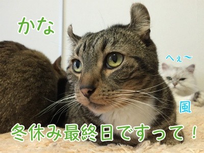 かな34