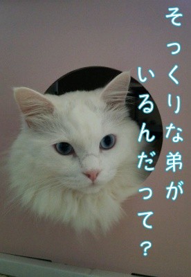 てん2