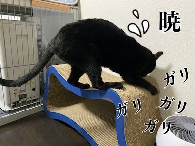 暁129