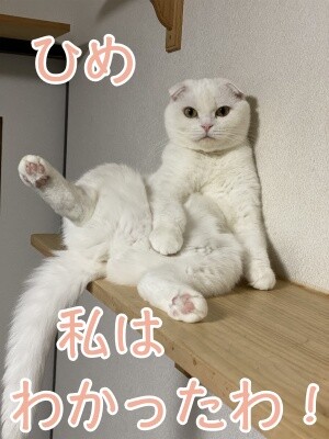 ひめ212