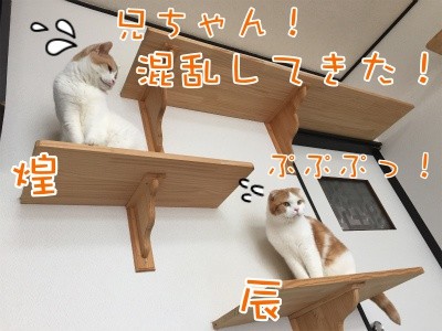 みんな838