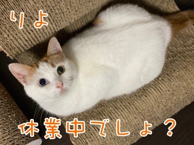 りよ265