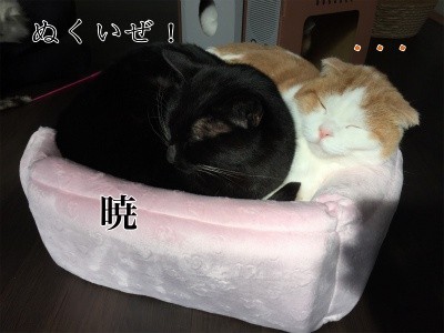 みんな32