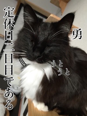 勇13