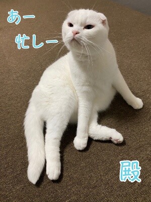 殿926