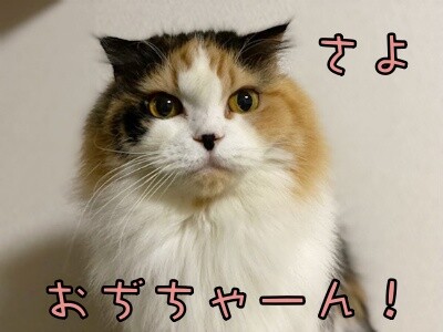 さよ121