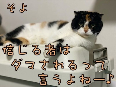 そよ296