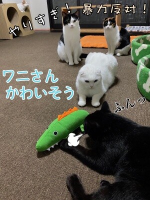 みんな2346