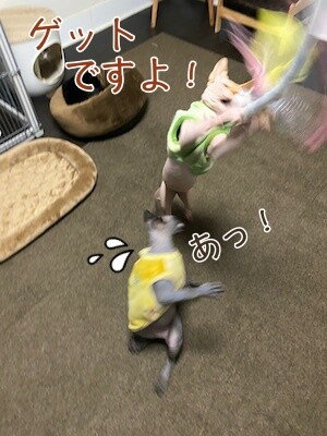 みんな613
