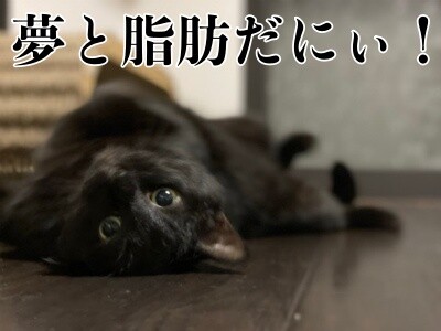 夢132
